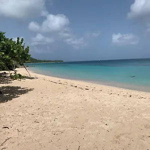 Cote Le Balaou Francois Appart hôtel Saint-Francois (Grande-Terre)