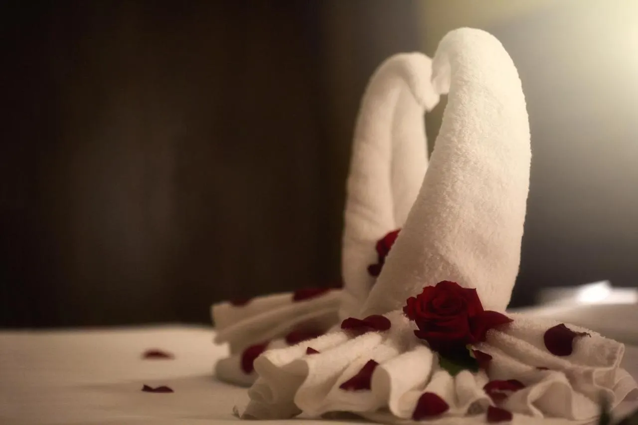 Al Safwah Orchid Hotel La Meca