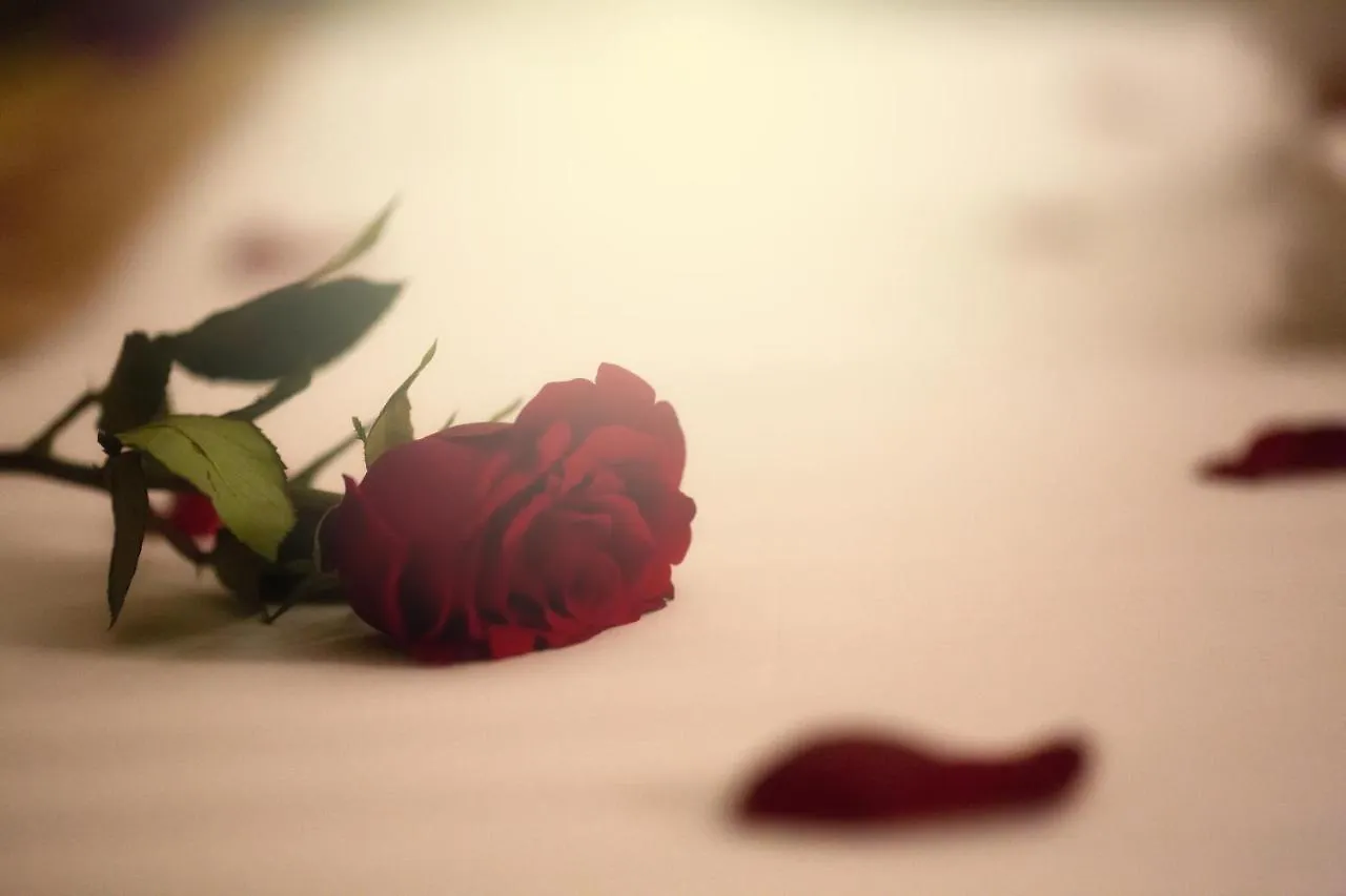 Al Safwah Orchid Hotel Mecca 3*,