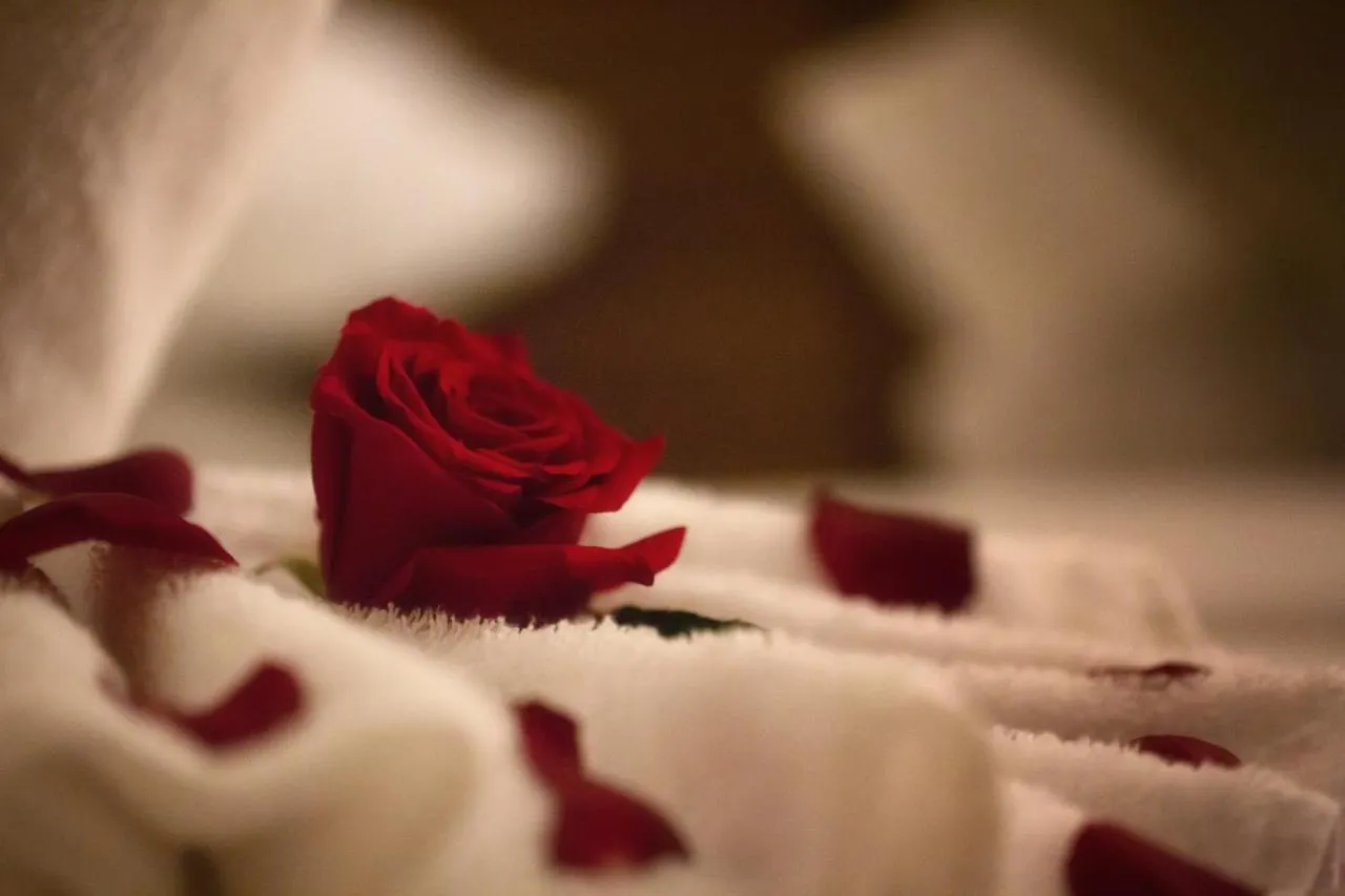 Al Safwah Orchid Hotel Mecca